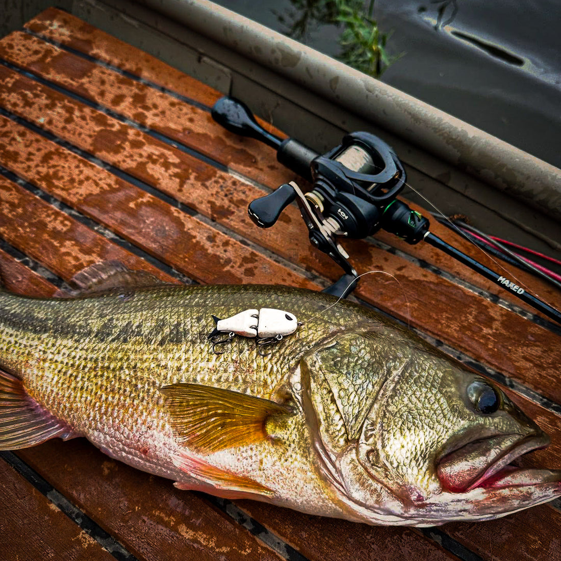 Maxed Fishing LLC