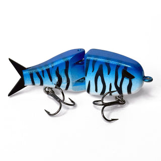 Maxed Fishing BFS glide bait painted a gradient blue with black tiger stripes.